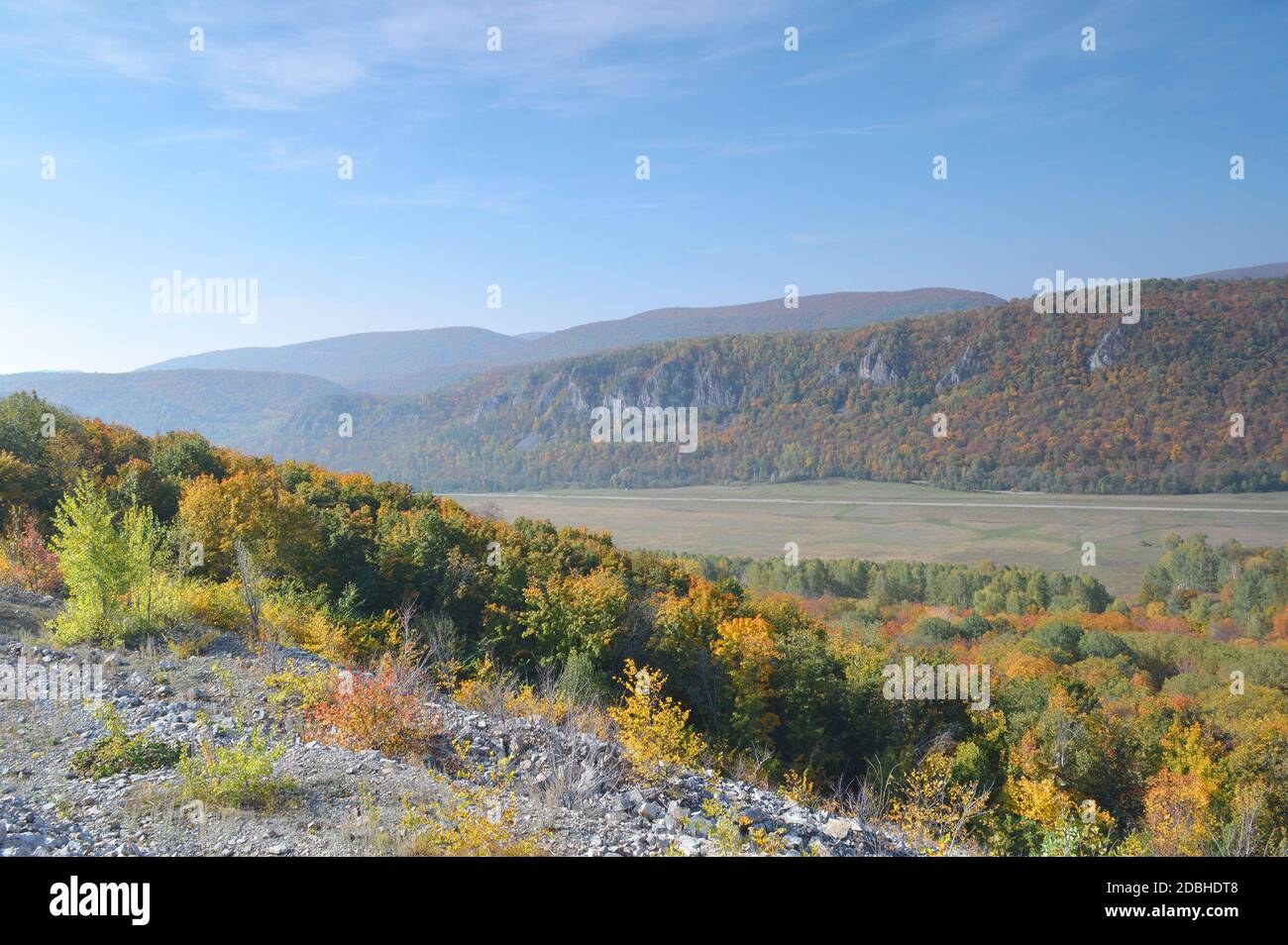 Paesaggio autunnale, albero sulle montagne Foto Stock