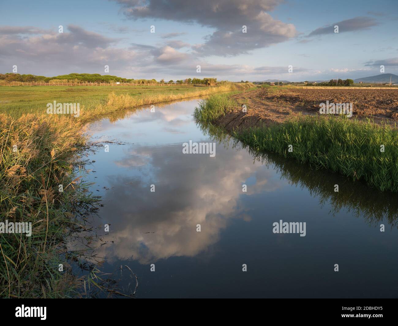 Canale di bonifica nei pressi di Montalto di Castro (Lazio settentrionale, Italia, Europa) Foto Stock