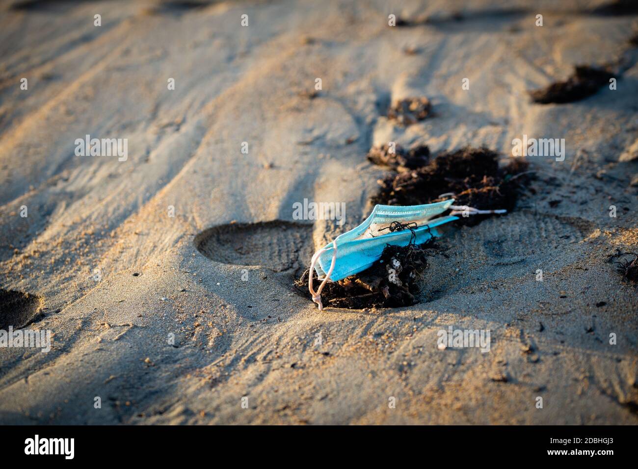 Maschere abbandonate sulla sabbia bagnata della riva di una spiaggia. Problema ecologico Foto Stock