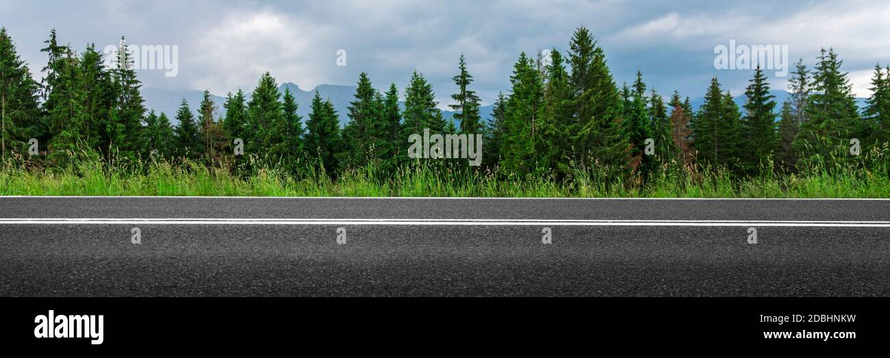 Strada vuota attraverso la foresta, montagna asfalto strada panoramica Foto Stock
