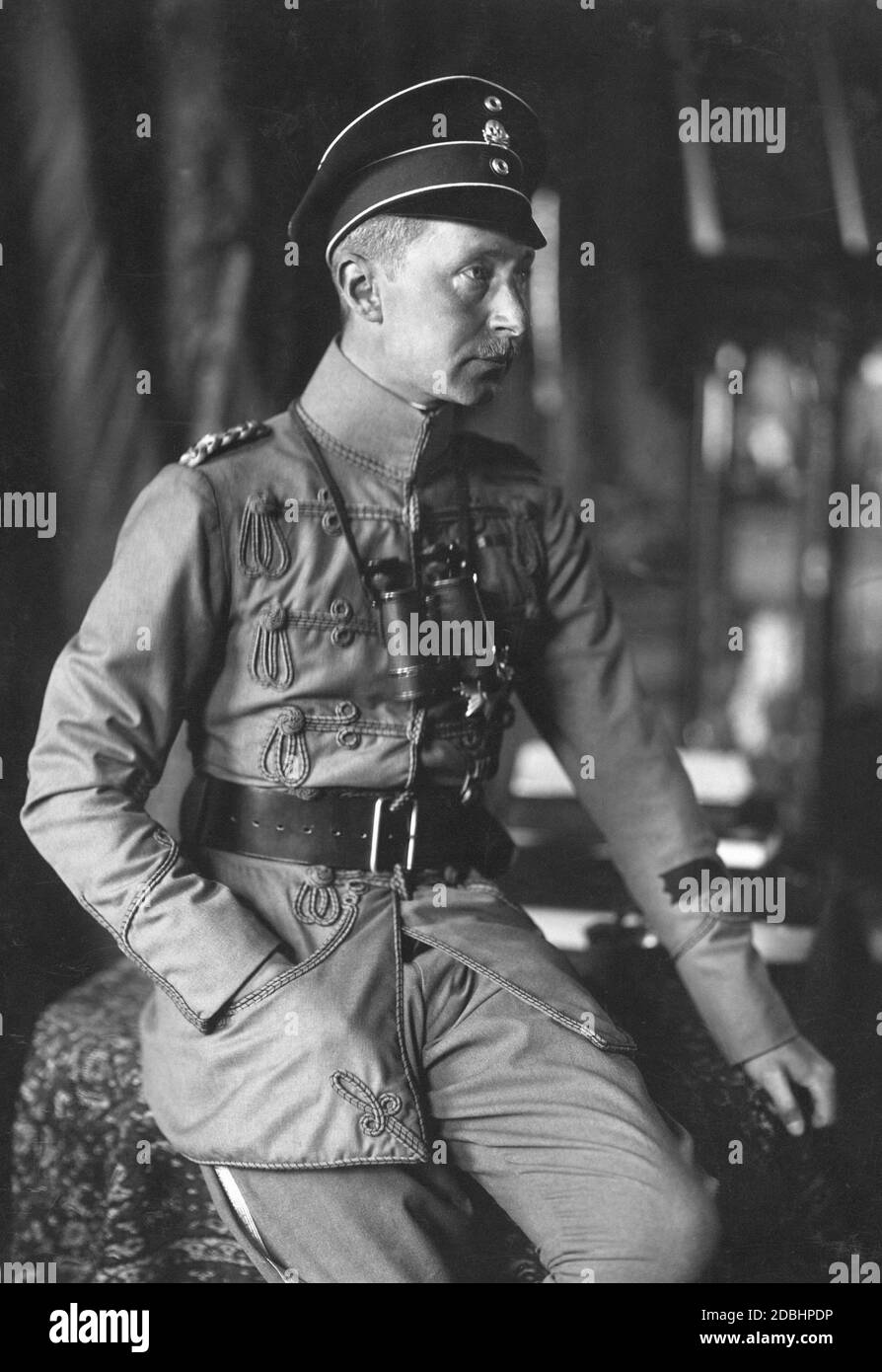 Ritratto del principe ereditario Guglielmo di Prussia al tempo della prima guerra mondiale. Indossa l'uniforme da campo grigia del Danzig Totenkopf Hussars (1. Leib-Husaren-Regiment No. 1), il cui comandante era stato per qualche tempo prima della guerra. Foto Stock