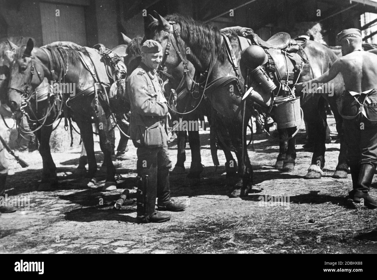 I soldati aspettano che i loro cavalli vengano caricati nell'estate del 1939. I treni di trasporto della truppa sono preparati e caricati dappertutto. Foto Stock