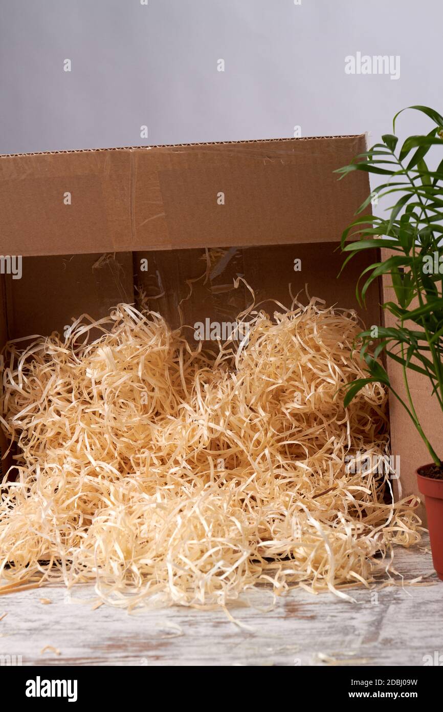 Aprire il pacco con il riempitivo in trucioli di legno naturale. Foto Stock