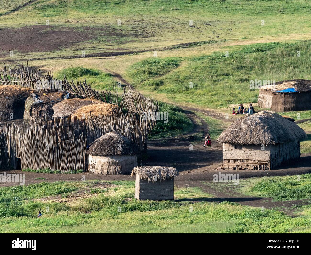 Tradizionale villaggio Maasai nella zona di conservazione di Ngorongoro, Tanzania, Africa orientale, Africa Foto Stock