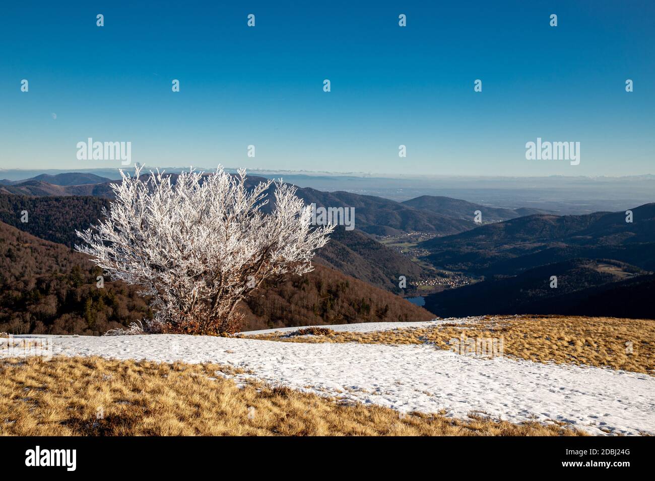Ghiacciato sul Belchen Alsazia con vista sopra La valle di Sewen Foto Stock