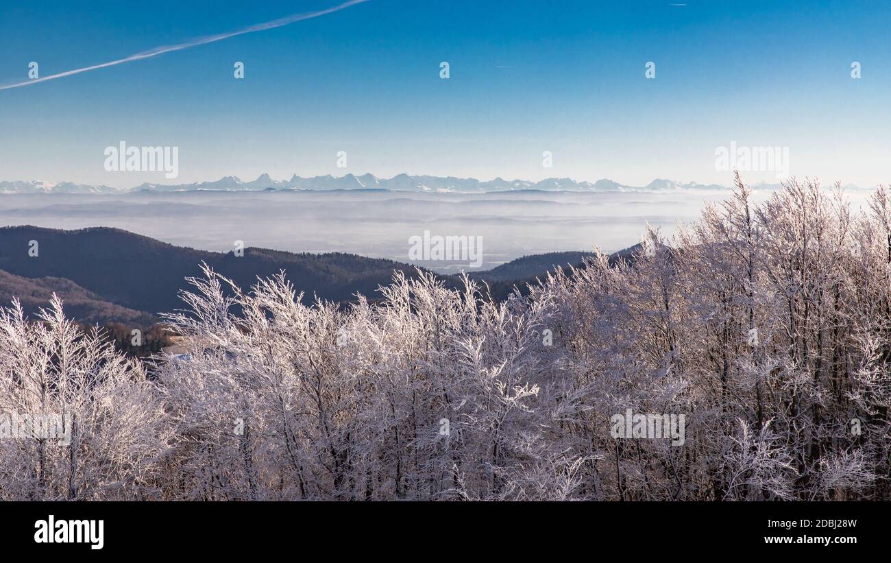 Vista dal Elsäser Belchen alle Alpi svizzere Foto Stock