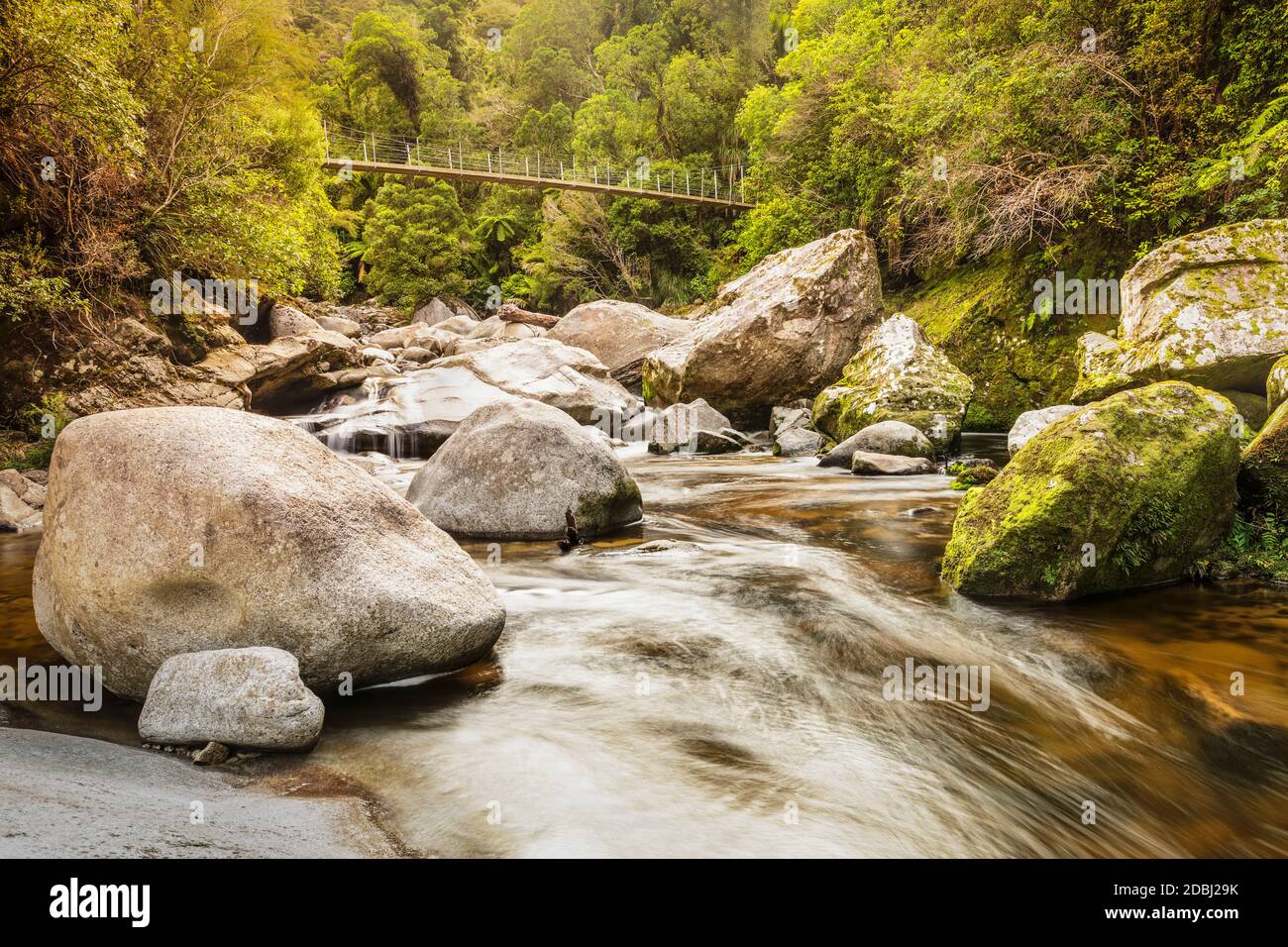 Ponte sospeso sul fiume Wainui, Wainui Falls Track, Golden Bay, Tasman, South Island, Nuova Zelanda, Pacifico Foto Stock
