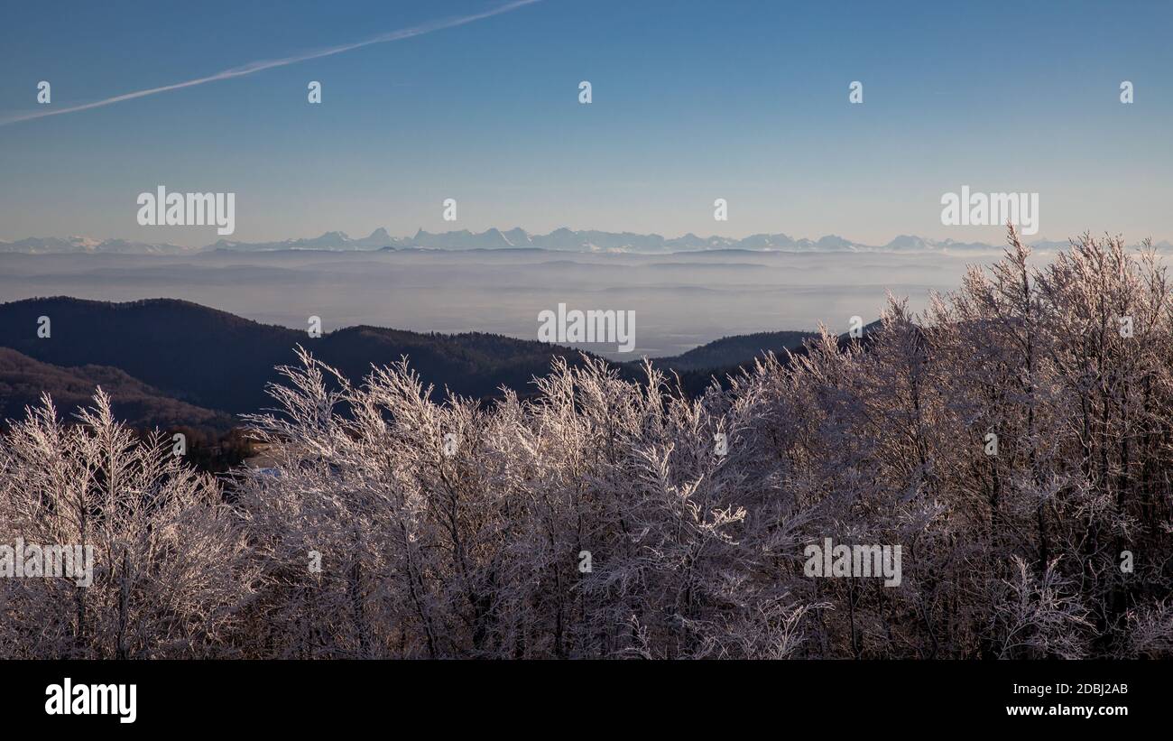 Vista dal Elsäser Belchen alle Alpi svizzere Foto Stock
