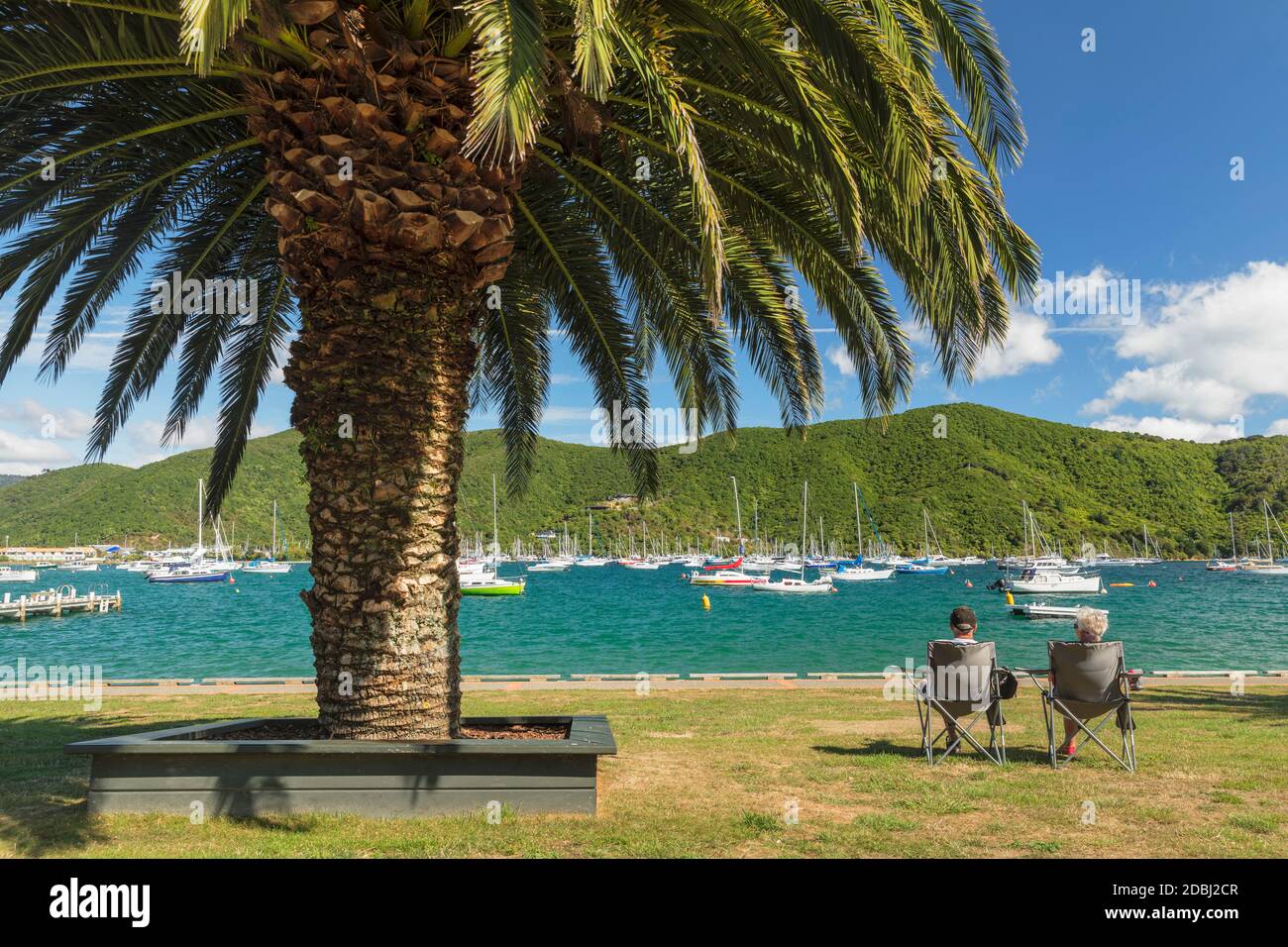 Marina a Waikawa, Picton, Marlborough Sounds, Isola del Sud, Nuova Zelanda, Pacifico Foto Stock