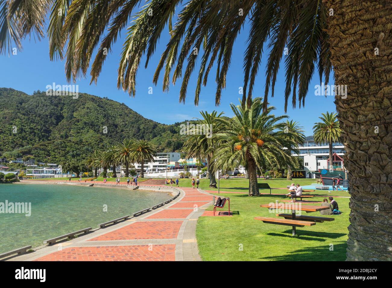 Passeggiata al porto di Picton, Marlborough Sounds, Isola del Sud, Nuova Zelanda, Pacifico Foto Stock