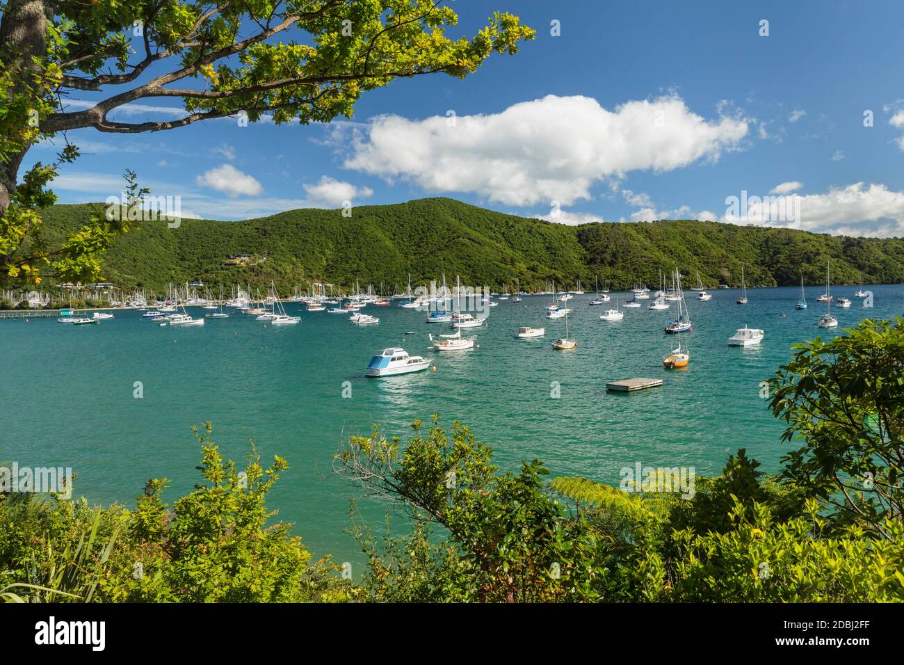 Marina a Waikawa, Picton, Marlborough Sounds, Isola del Sud, Nuova Zelanda, Pacifico Foto Stock