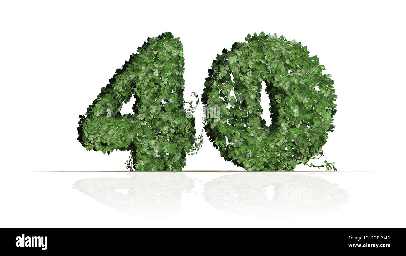 Numero 40 creato di foglie di edera verde - isolate su sfondo bianco Foto Stock