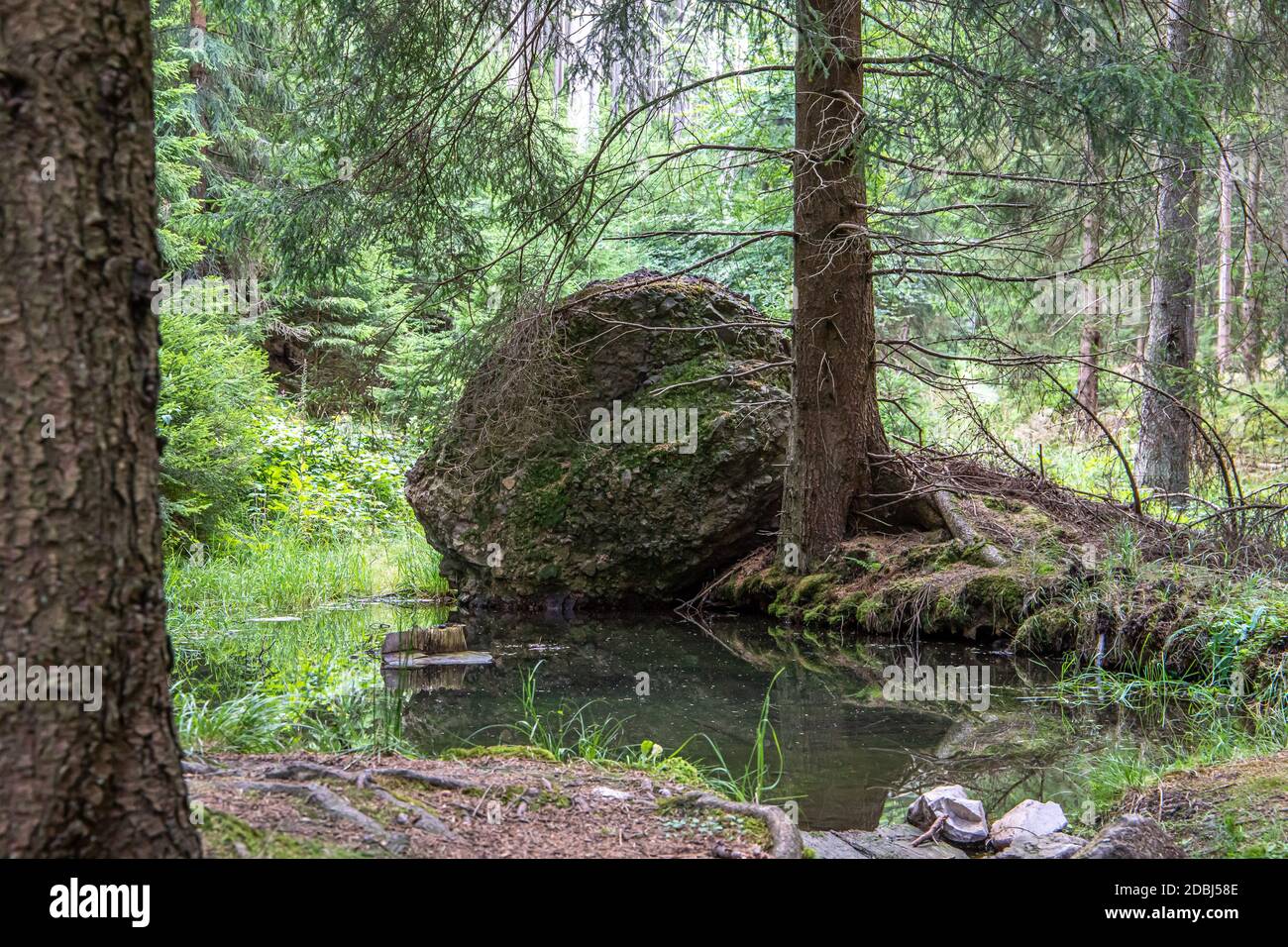 Stagno con roccia vicino alla diga di Schmalwasser Foto Stock