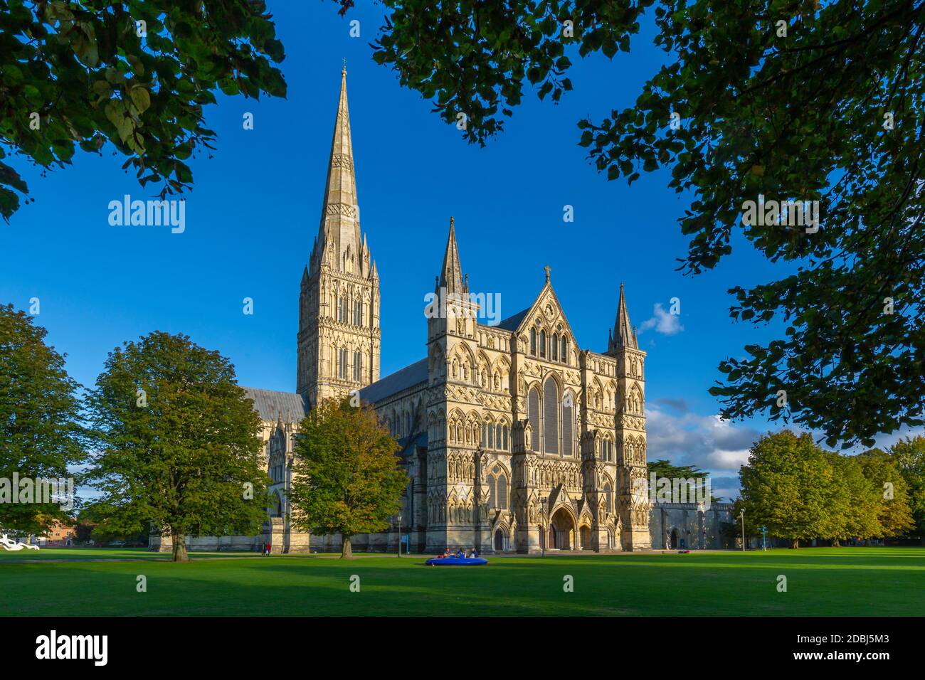 Veduta della Cattedrale di Salisbury incorniciata da alberi, Salisbury, Wiltshire, Inghilterra, Regno Unito, Europa Foto Stock