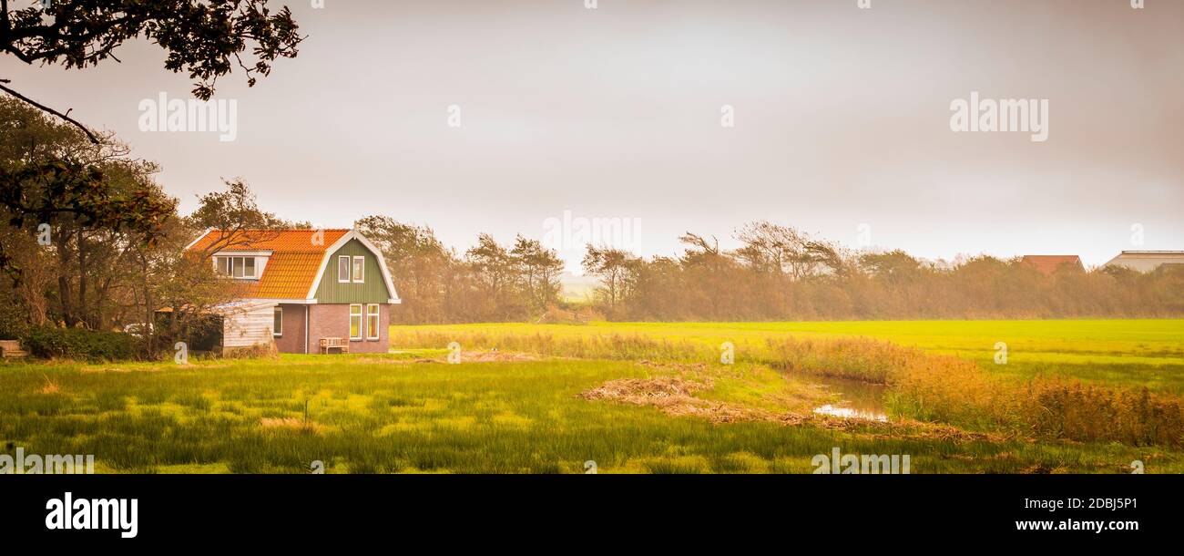 Campagna banner corloful con tradizionale isola casa Wadden isola Texel, Olanda del Nord, Paesi Bassi Foto Stock