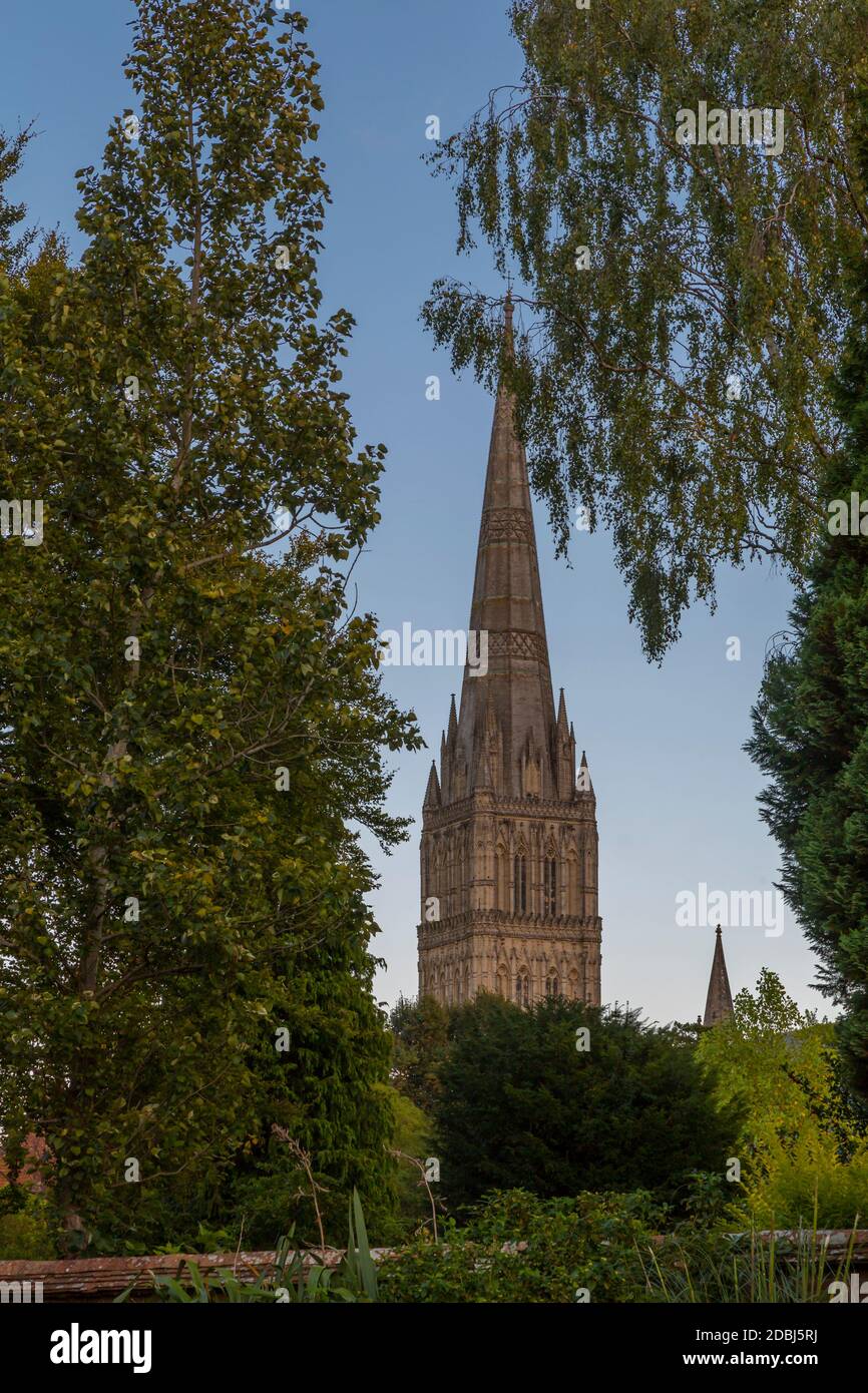 Vista della Cattedrale di Salisbury dal Town Path, Salisbury, Wiltshire, Inghilterra, Regno Unito, Europa Foto Stock