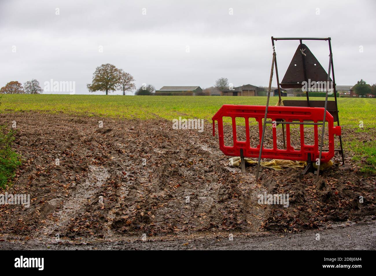 Aylesbury vale, Buckinghamshire, Regno Unito. 17 novembre 2020. I terreni agricoli sono schiacciati da macchinari HS2. Il Woodland Trust ha pubblicato un comunicato stampa che chiede una pausa immediata sul lavoro al bosco per dire che hanno "gravi preoccupazioni" che antico bosco dovuto imminente distruzione da parte di HS2 Ltd potrebbe essere abbattuto senza un adeguato lavoro di indagine per identificare i rostici pipistrelli, e senza le licenze richieste dalla legge. Credit: Maureen McLean/Alamy Live News Foto Stock