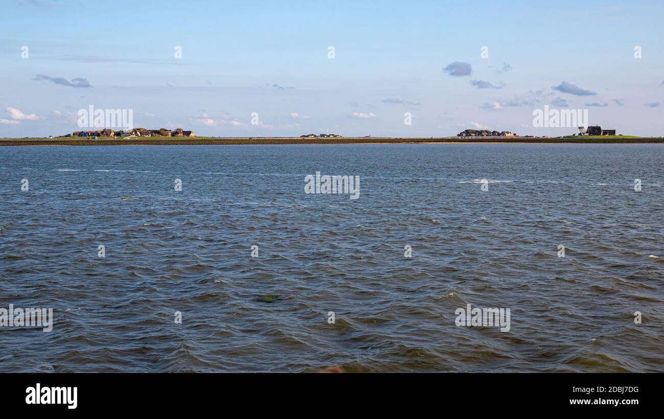 Hallig Hooge nel Mare di Wadden Frisia settentrionale Foto Stock