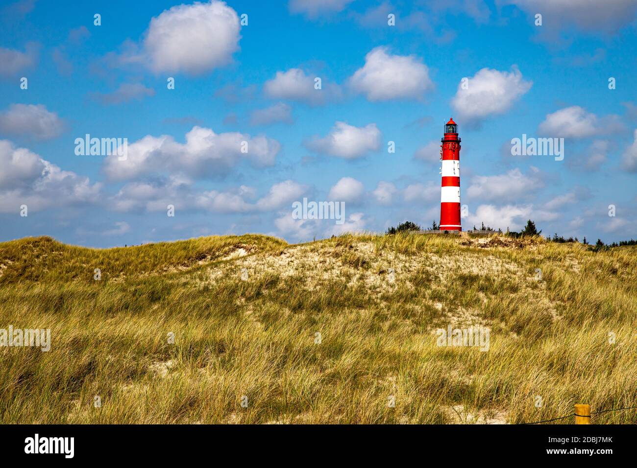 Vista sul faro di Amrum dalle dune Foto Stock