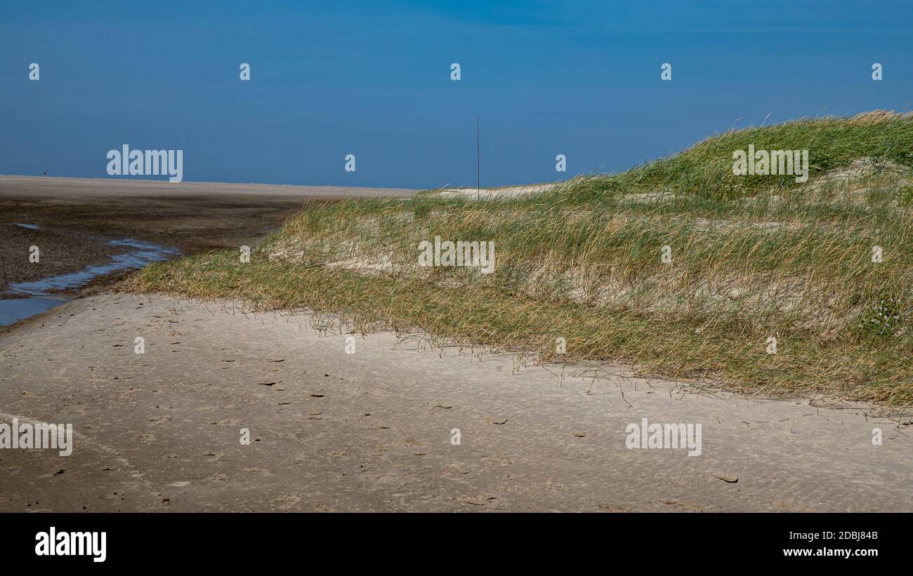 Dune sulla spiaggia di Sankt Peter Ording Foto Stock