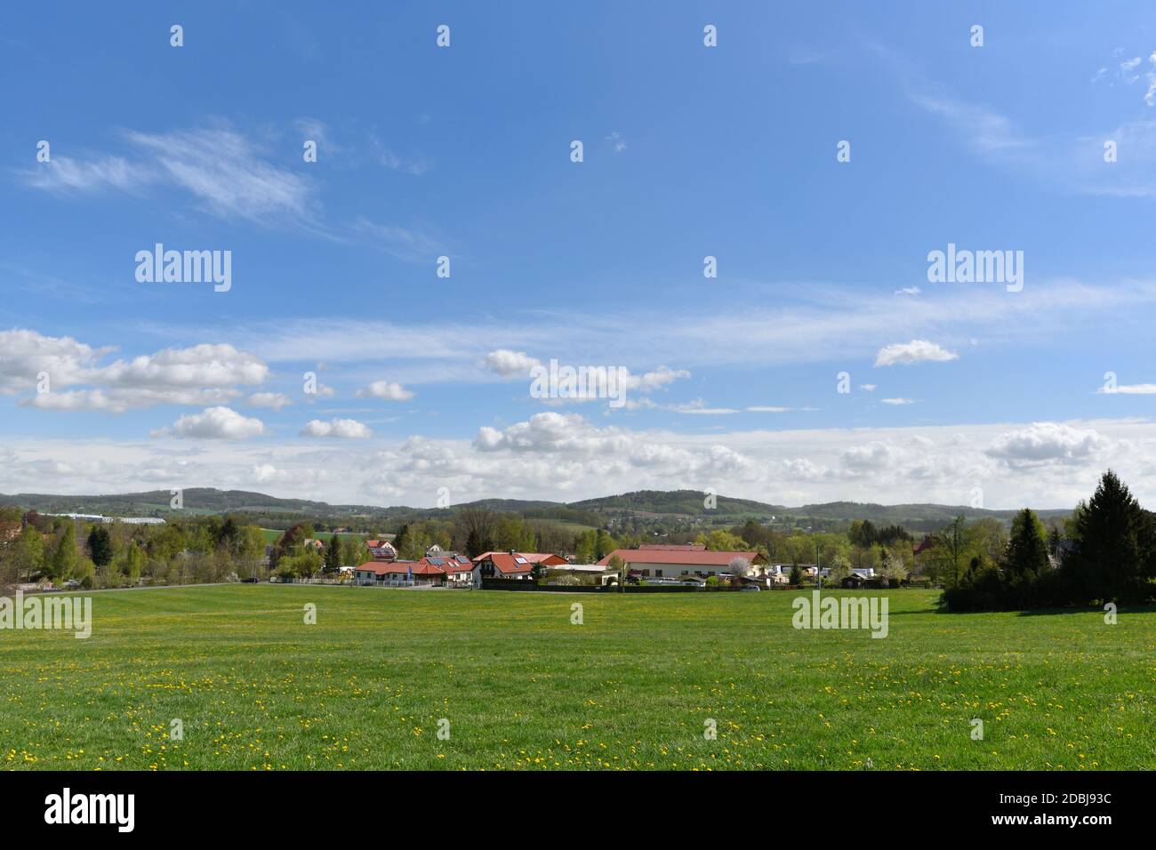 Primavera a Taubenheim nell'alta lusazia in sassonia Foto Stock