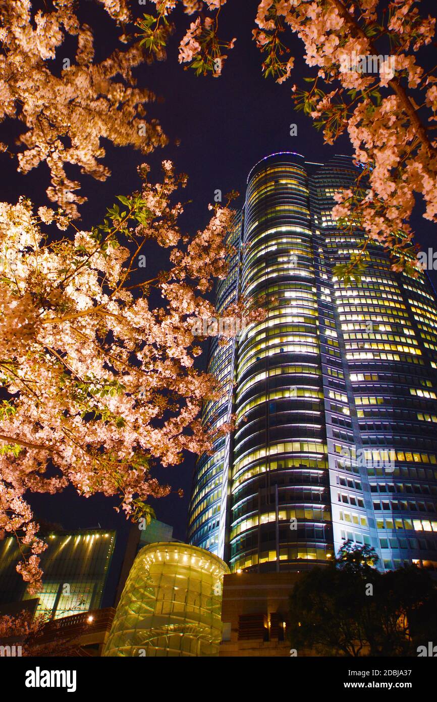 Notte del Porto di Yokohama Foto Stock