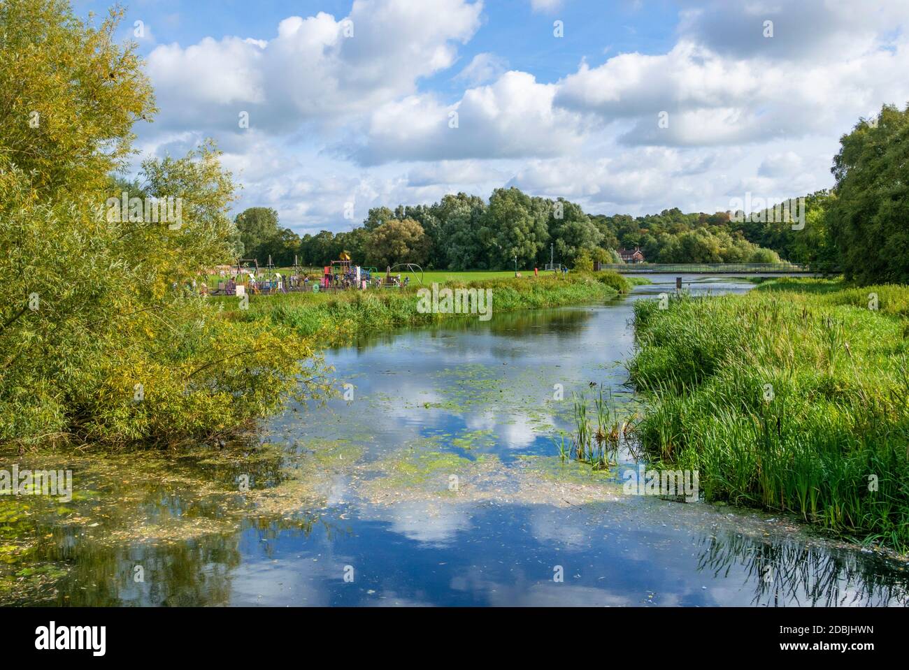 Burton on Trent Washlands alluvione pianura del fiume Trent santuario della fauna selvatica Burton upon Trent, Staffordshire, Inghilterra, GB UK Europa Foto Stock