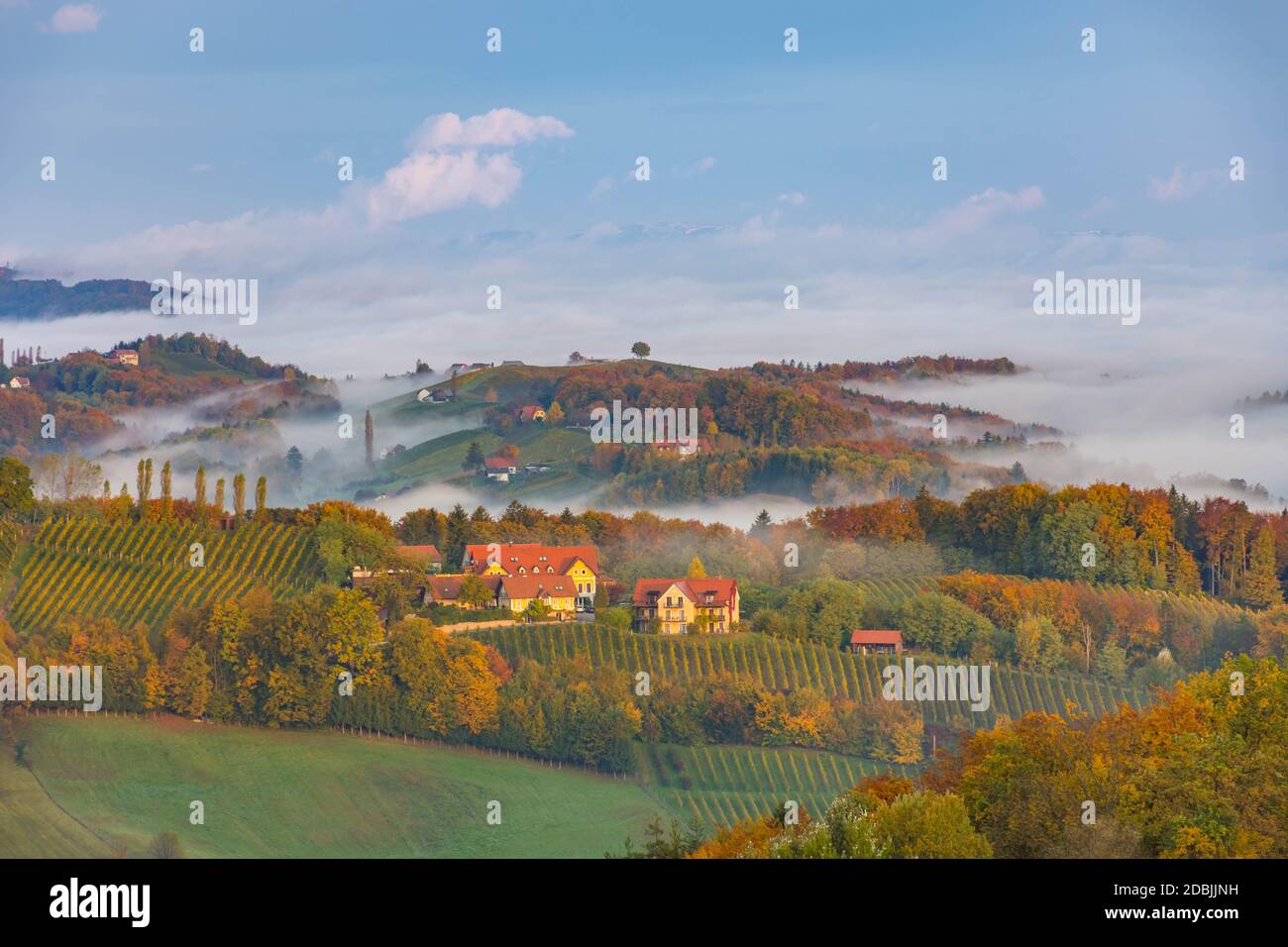 Paesaggio autunnale con vigneti della Stiria meridionale, conosciuta come Toscana austriaca, una regione incantevole al confine tra Austria e Slovenia con l'ondulato hil Foto Stock