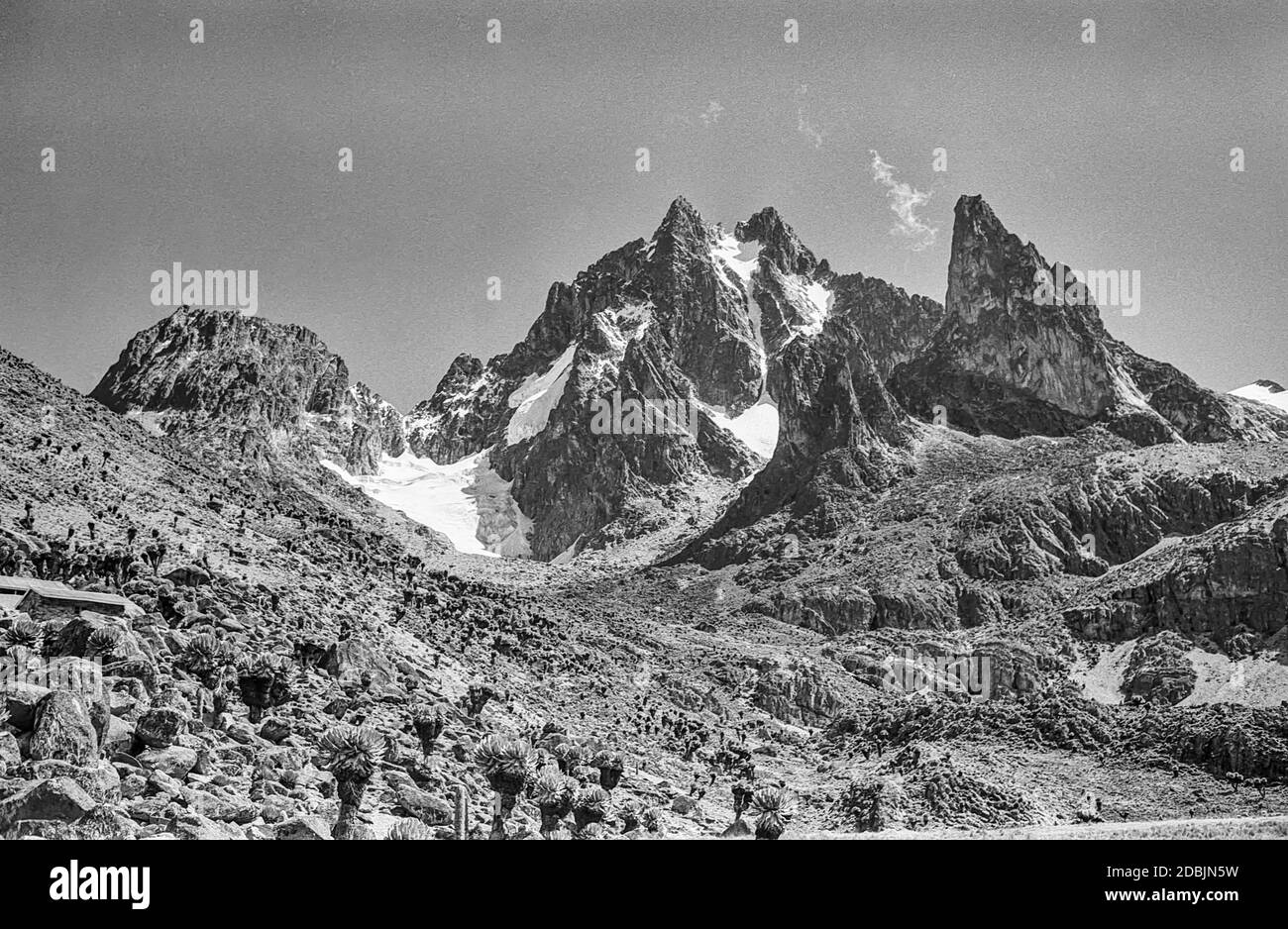 Kenya. Questo è il Monte Kenya dalla valle di Teleki come era nel 1976/77 con le cime gemelle di Batian a 17,058 piedi; 5199m a sinistra e Nelion 17,022ft; 5188m a destra. Le cime sono divise in cima con il gap chiamato il Gates of Mists da cui la montagna è divisa dal vecchio nucleo vulcanico del Couloir Diamante. Il picco frastagliato a destra è Point John mentre il picco minore al centro è Midget Peak. La montagna è anche conosciuta con il nome locale di Kirinyaga con Batian e Nelion che prendono il nome dal Masai locale Foto Stock