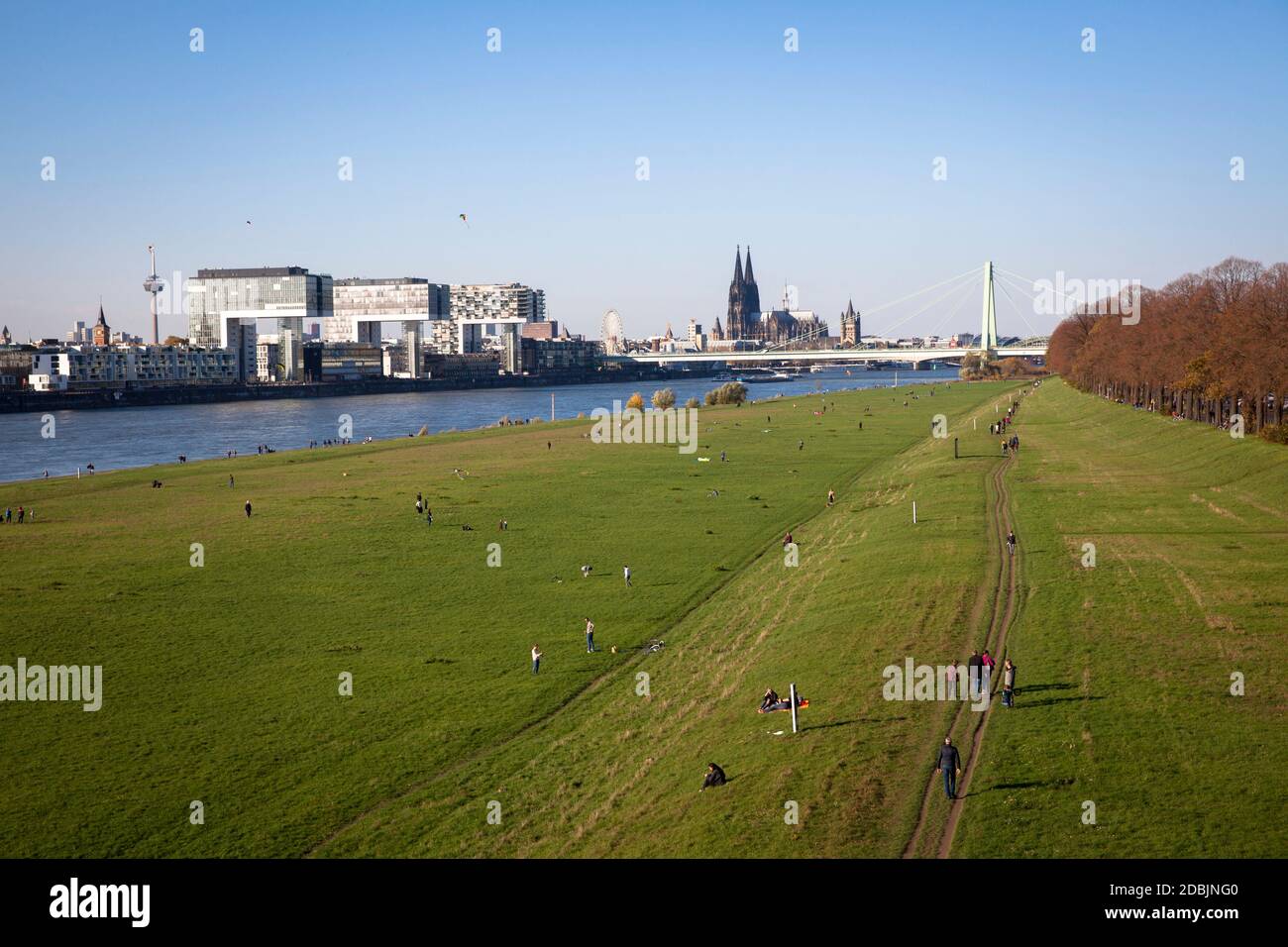 le pianure fluviali del Reno nel distretto Deutz, le case di Crane nel porto di Rheinau, sullo sfondo la cattedrale, Colonia, Germania. Die Rheinwi Foto Stock