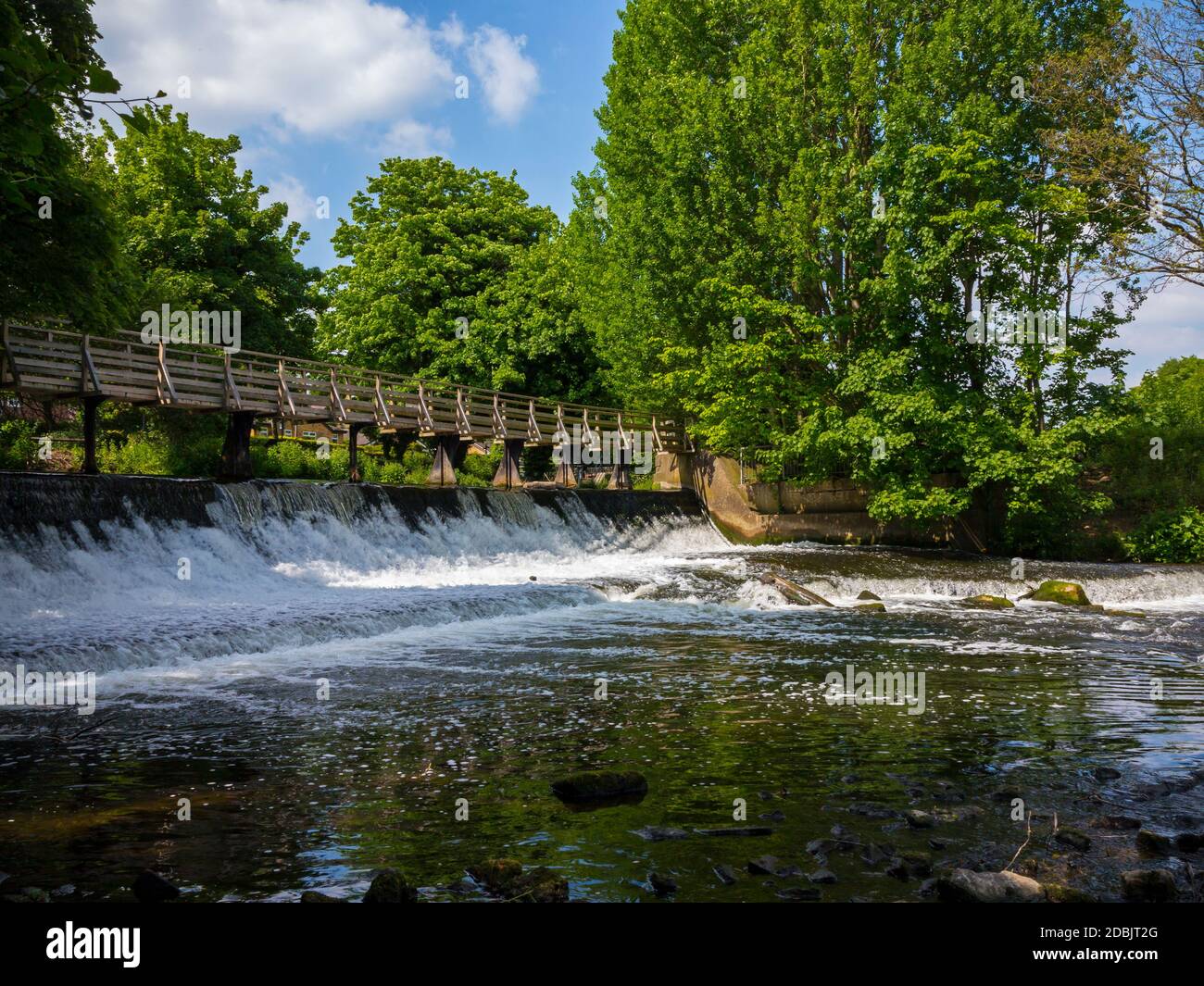 Weir nel fiume Derwent a Darley Abbey vicino Derby Inghilterra Regno Unito Foto Stock