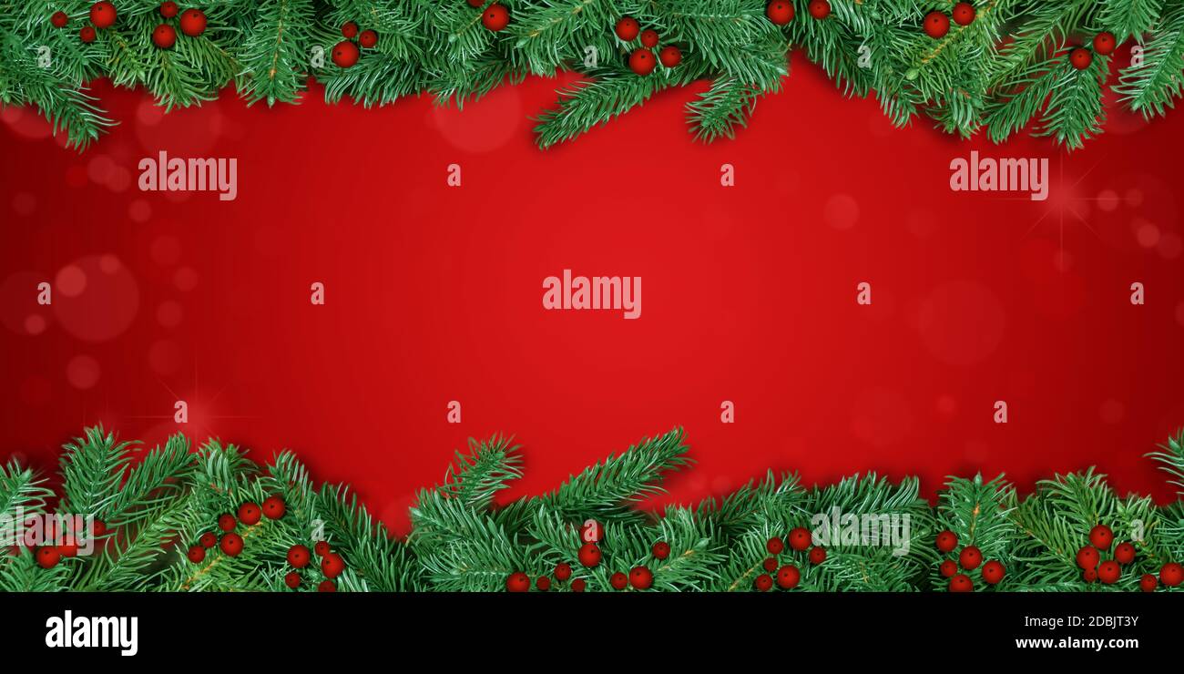 Natale sfondo rosso. Il ramo dell'albero di Natale confina con le bacche agili. Foto Stock