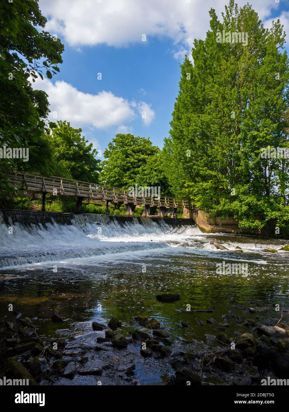Weir nel fiume Derwent a Darley Abbey vicino Derby Inghilterra Regno Unito Foto Stock