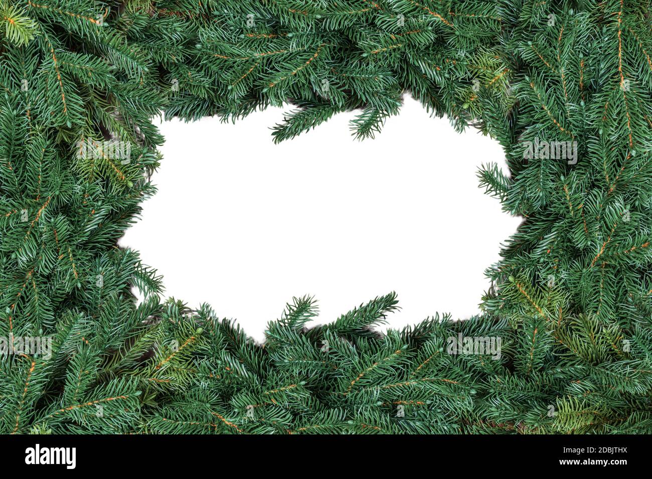 Albero di Natale rami cornice isolata su sfondo bianco. Foto Stock