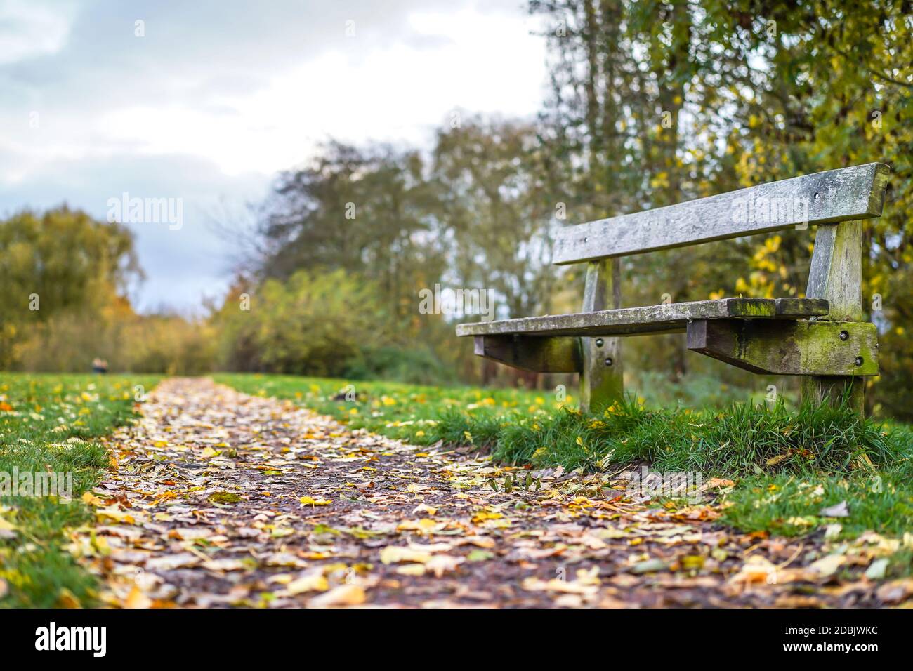 Basso angolo di primo piano di panca parco isolato in campagna da deserted pubblico sentiero coperto in autunno foglie caduto, Regno Unito, con copyspace. Foto Stock