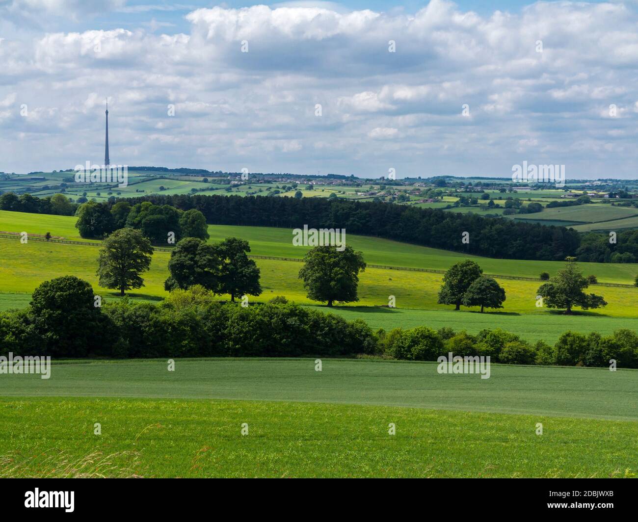 Vista sulla campagna dello Yorkshire occidentale vicino a Wakefield, Inghilterra settentrionale, Regno Unito, con il trasmettitore televisivo Emley Moor visibile all'orizzonte. Foto Stock