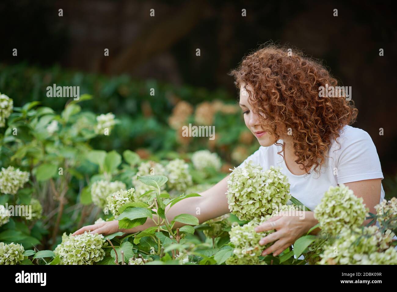 Giovane donna che fa giardinaggio nel cortile posteriore su un soleggiato giorno di primavera Foto Stock