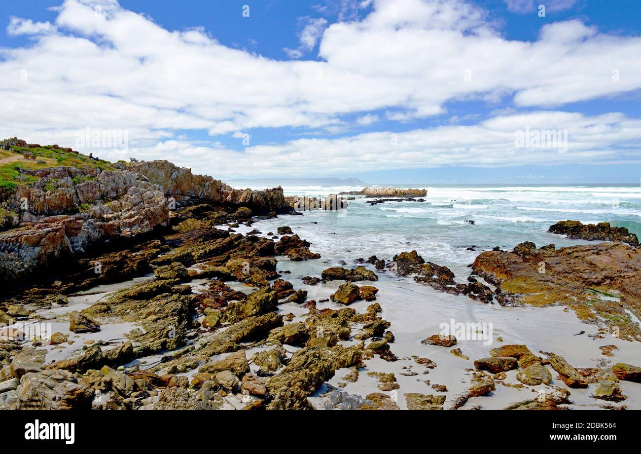 La costa di Hermanus in Sud Africa Foto Stock