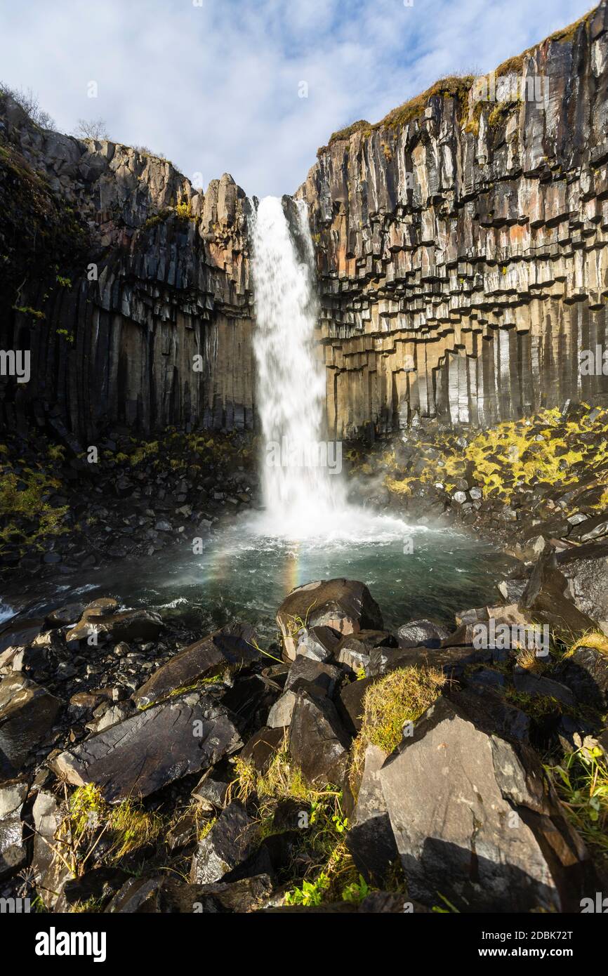 Cascata di Svartifoss in Islanda. Foto Stock