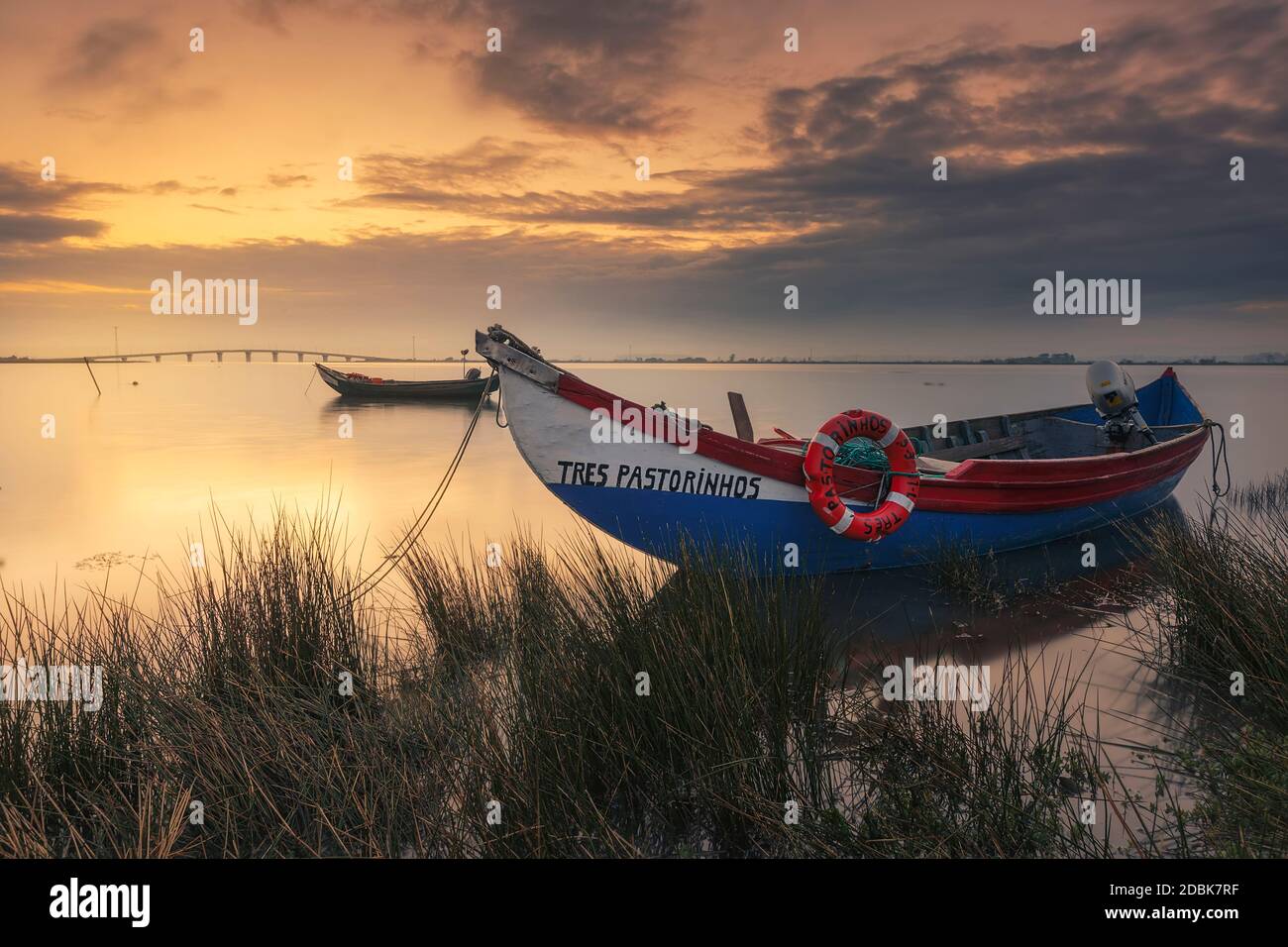 Vecchie barche da pesca e molluschi nel fiume Aveiro, Portogallo. Foto Stock