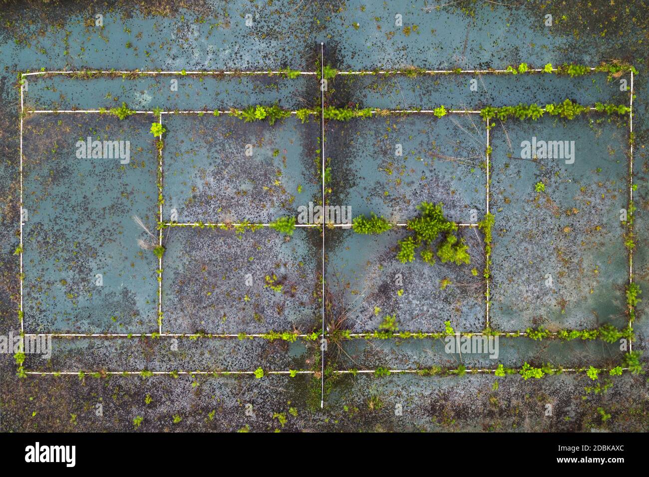 Campo da tennis presso il club chiuso di nuoto e tennis, Snellville, Georgia Foto Stock