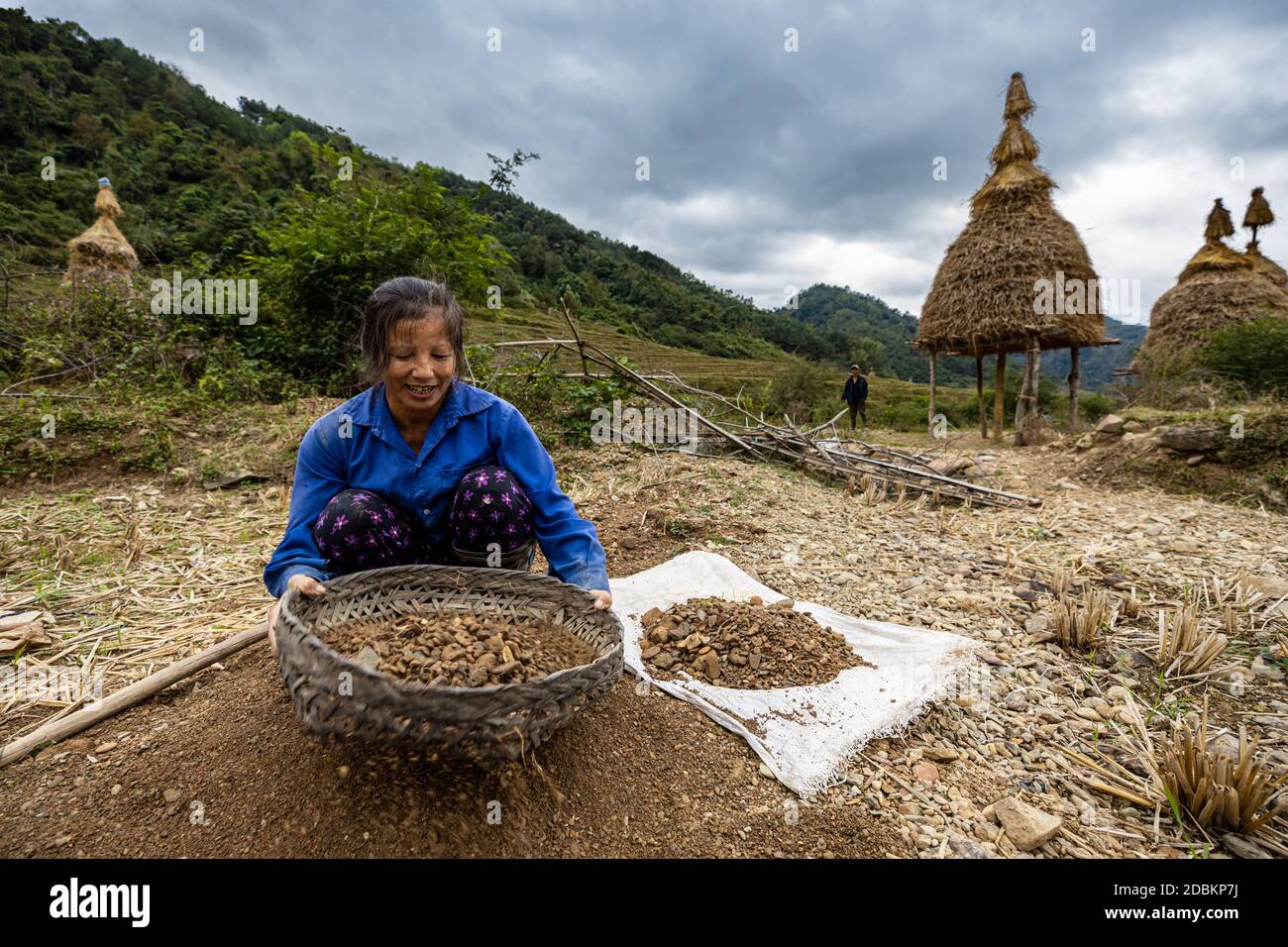 Donna amichevole dal Vietnam sta lavorando alla fattoria Foto Stock