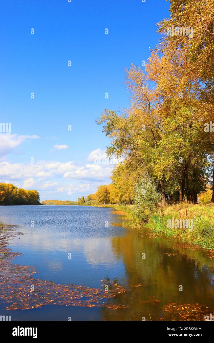 Autunno paesaggio con fiume e alberi Foto Stock