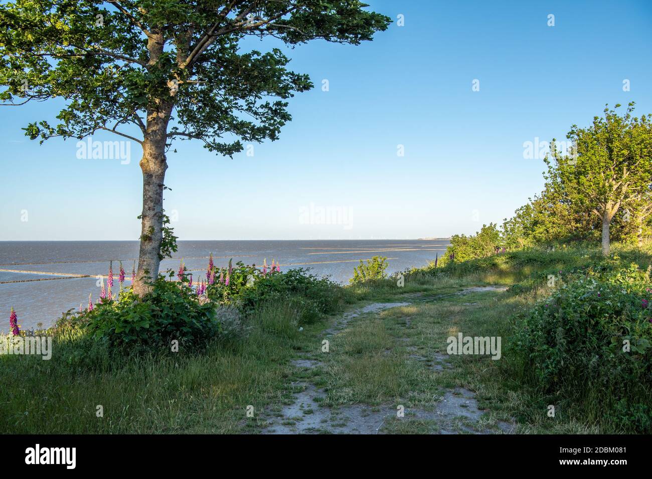 Punto di vista Foto Stock
