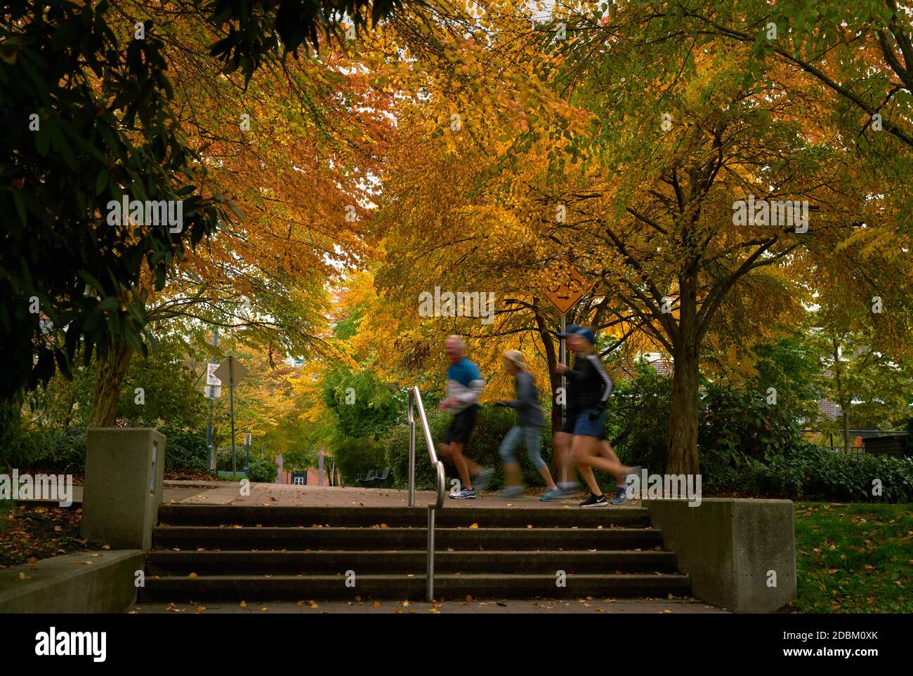 Allenamento autunnale. La mattina presto si scatenano per una corsa autunnale. Foto Stock