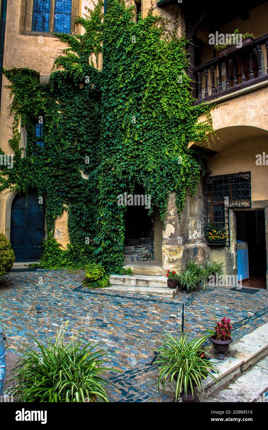 Ingresso al castello coperto Ivy Foto Stock