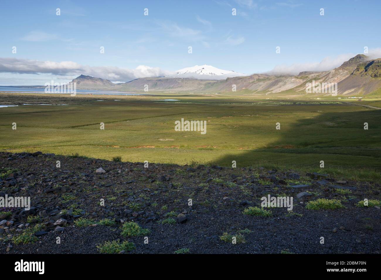 Paesaggio con erba e colline, Snaefellsnes, Islanda Foto Stock