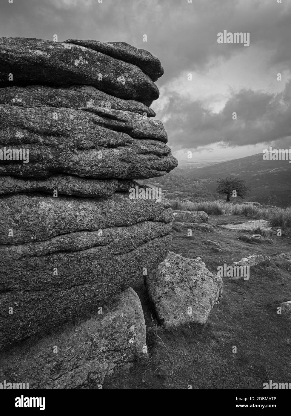 Affioramenti di granito e alberi soffiati a vento su Coombstone Tor, Dartmoor Foto Stock