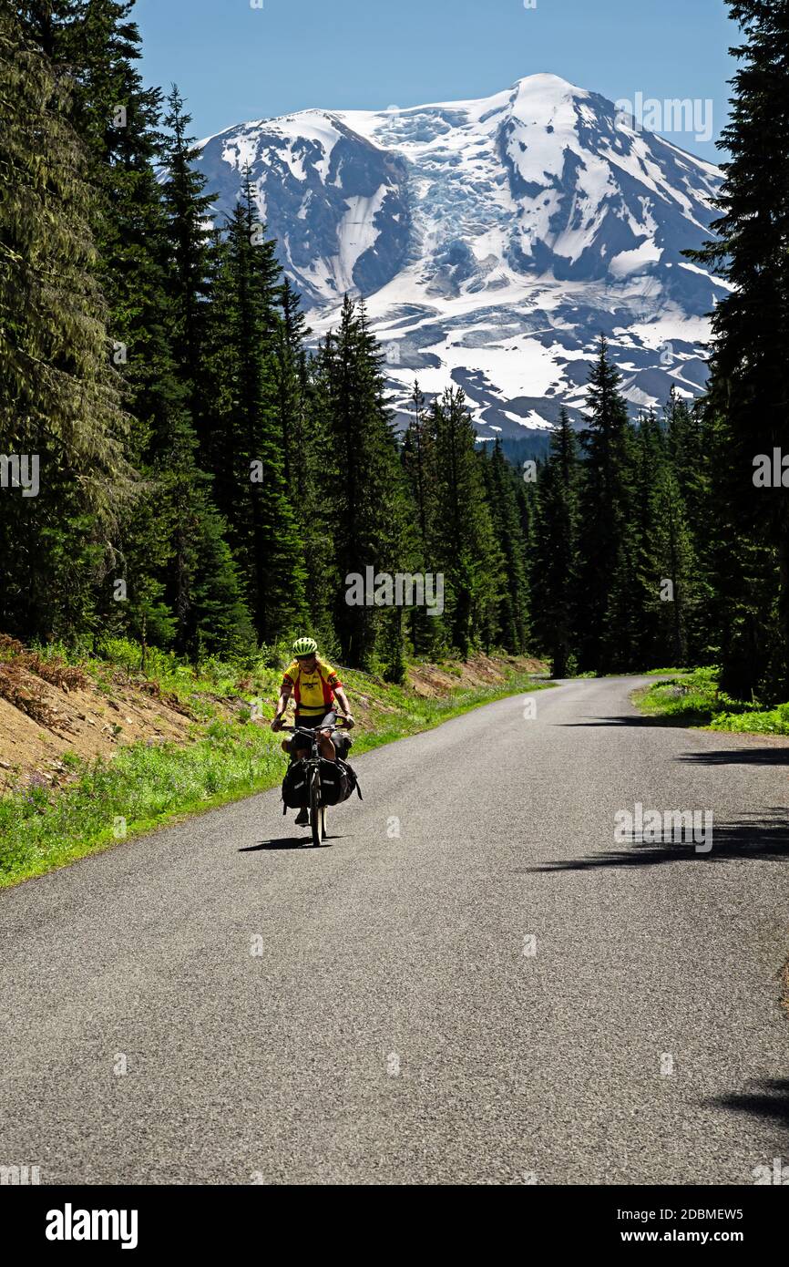 WA18156-00...WASHINGTON - ciclista sulla Forest Road 23 con una vista di Mount Adams nella Gifford Pinchot National Forest. Foto Stock WA18156-00...WASHINGTON - ciclista sulla Forest Road 23 con una vista di Mount Adams nella Gifford Pinchot National Forest. Foto Stock