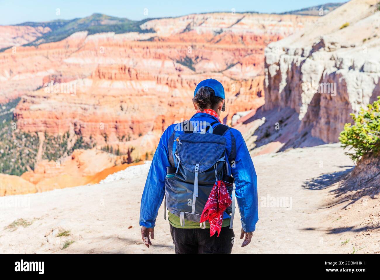 Una donna escursionista nella vista panoramica del Cedar Breaks National Monument, un monumento nazionale degli Stati Uniti situato nello stato dello Utah, vicino a Cedar City. Cedro Foto Stock